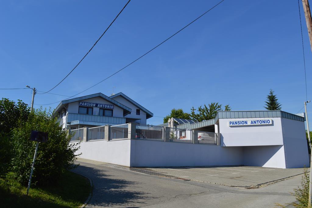 潘松安东尼奥酒店 斯拉沃尼亚布罗德 外观 照片